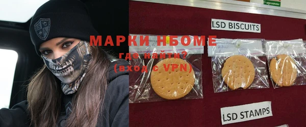шишки Аркадак