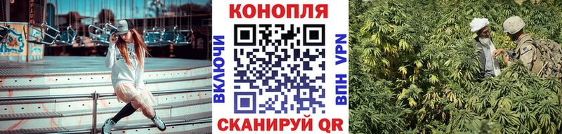 МАРИХУАНА SATIVA & INDICA  магазин продажи наркотиков  Кодинск 